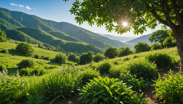 planete au naturel